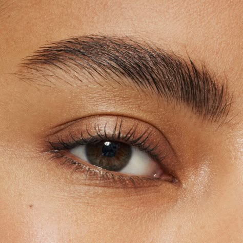 Ginseng lash and brow growth treatment see results in 4 weeks