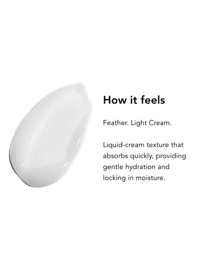 Day &amp; Night Essentials